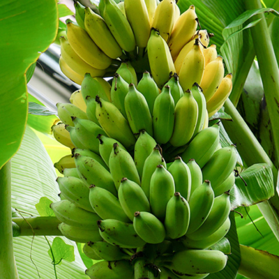 Untitled design (34)