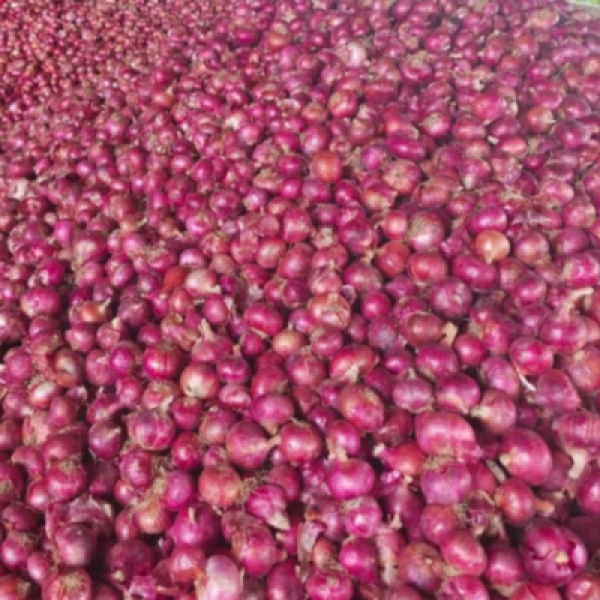 Untitled design (32)